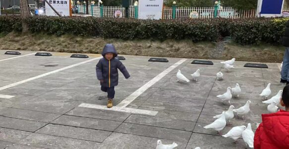 2024年春节，下雪