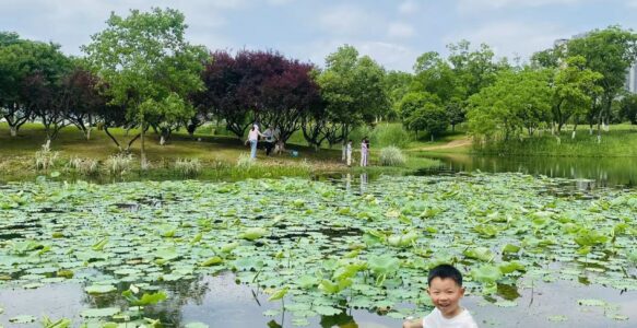 20260516松雅湖，学会了骑自行车